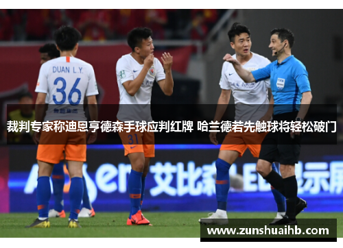 裁判专家称迪恩亨德森手球应判红牌 哈兰德若先触球将轻松破门