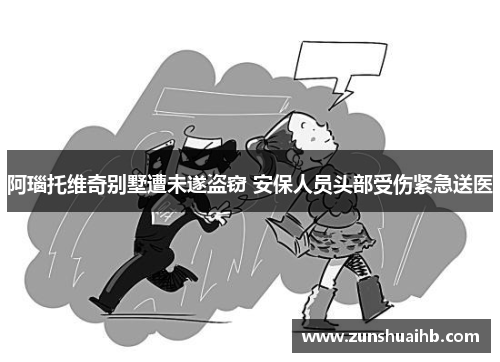 阿瑙托维奇别墅遭未遂盗窃 安保人员头部受伤紧急送医