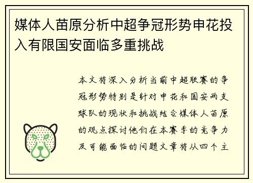 媒体人苗原分析中超争冠形势申花投入有限国安面临多重挑战